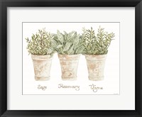 Framed Herb Trio