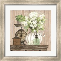 Framed 'Farmhouse Finds I' border=