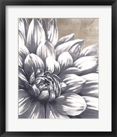 Framed Charming Floral I