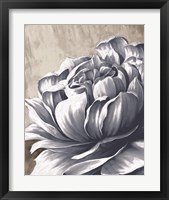 Framed 'Charming Floral II' border=