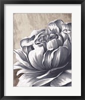 Framed Charming Floral II