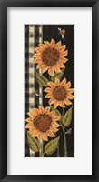 Farmhouse Sunflowers II Framed Print
