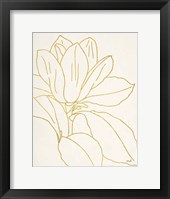 Framed Gold Magnolia Line Drawing v2 Crop