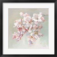 Framed Sugar Magnolia