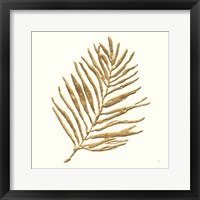 Framed 'Gilded Palm V' border=