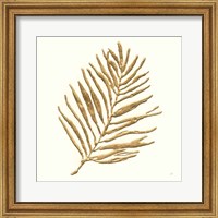 Framed 'Gilded Palm V' border=