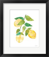 Framed Summer Lemons I