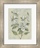 Framed Sage Magnolia