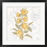 Flower Sophistication II Framed Print