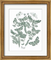 Framed 'Butterfly Bouquet IV Sage' border=