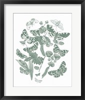 Framed Butterfly Bouquet IV Sage