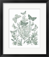 Framed 'Butterfly Bouquet II Sage' border=