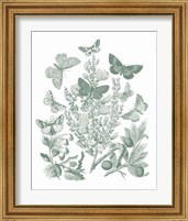 Framed 'Butterfly Bouquet II Sage' border=