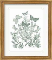 Framed 'Butterfly Bouquet II Sage' border=