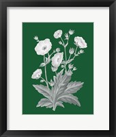 Green Botanical VI Framed Print