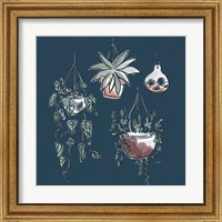 Framed 'Plants Life VII' border=