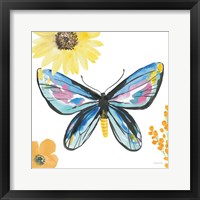 Framed Beautiful Butterfly III Blue No Words