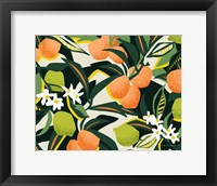 Framed Sweet Orange Lime