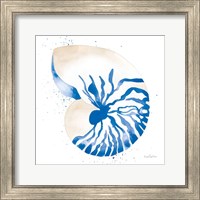 Framed 'Nautilus Sq' border=