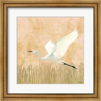 Framed 'Egret Alighting II Flipped' border=