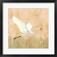 Framed Egret Alighting II