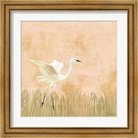 Framed 'Egret Alighting I' border=