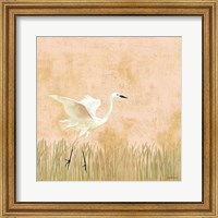 Framed 'Egret Alighting I' border=