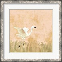 Framed 'Egret Alighting I' border=