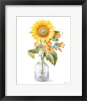 Framed Fresh Cut Sunflowers II