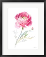 Color of Spring I Framed Print