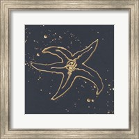 Framed 'Gold Starfish III' border=