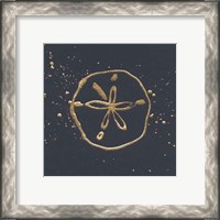 Framed 'Gold Sand Dollar I' border=