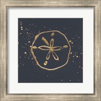 Framed 'Gold Sand Dollar I' border=