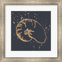 Framed 'Gold Nautilus I' border=