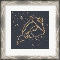 Framed 'Gold Conch IV' border=