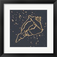 Framed 'Gold Conch IV' border=