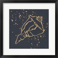 Framed 'Gold Conch IV' border=