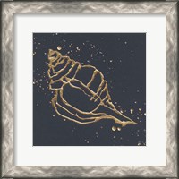 Framed 'Gold Conch III' border=