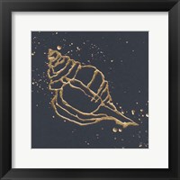 Framed 'Gold Conch III' border=