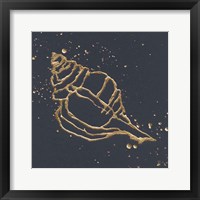 Framed Gold Conch III