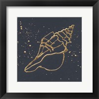 Framed 'Gold Conch II' border=