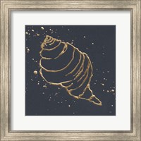 Framed 'Gold Conch I' border=