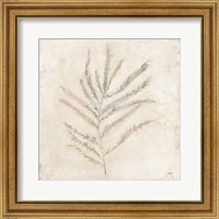 Framed 'Plantlife I' border=