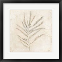 Framed 'Plantlife I' border=