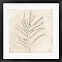 Framed 'Plantlife I' border=