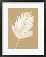 Nature by the Lake Ferns III Brown Framed Print