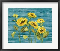 Framed Cottage Sunflowers Teal