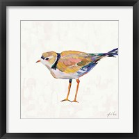 Framed Coastal Plover IV Linen