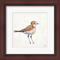 Framed 'Coastal Plover III Linen' border=