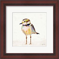 Framed 'Coastal Plover II Linen' border=